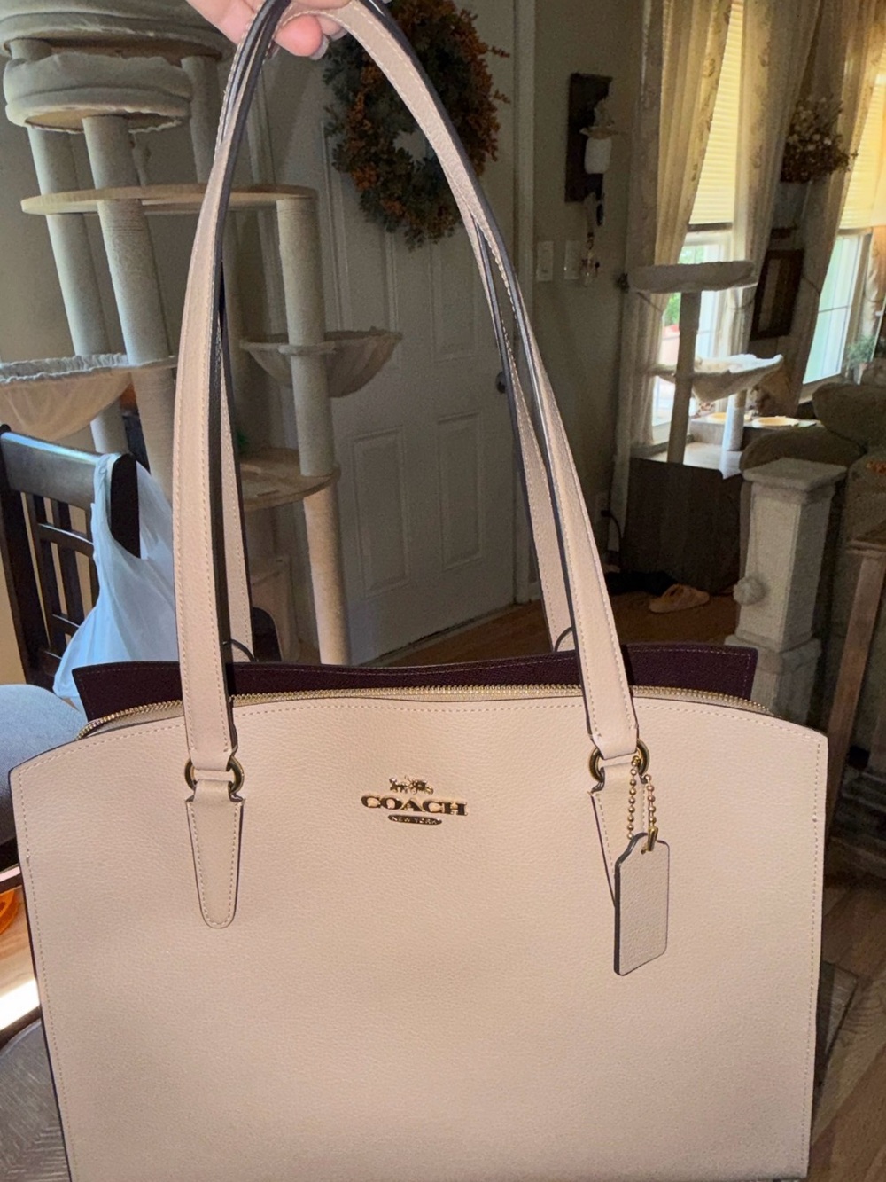 Coach Pale Pink Leather Tote with Gold Hardware